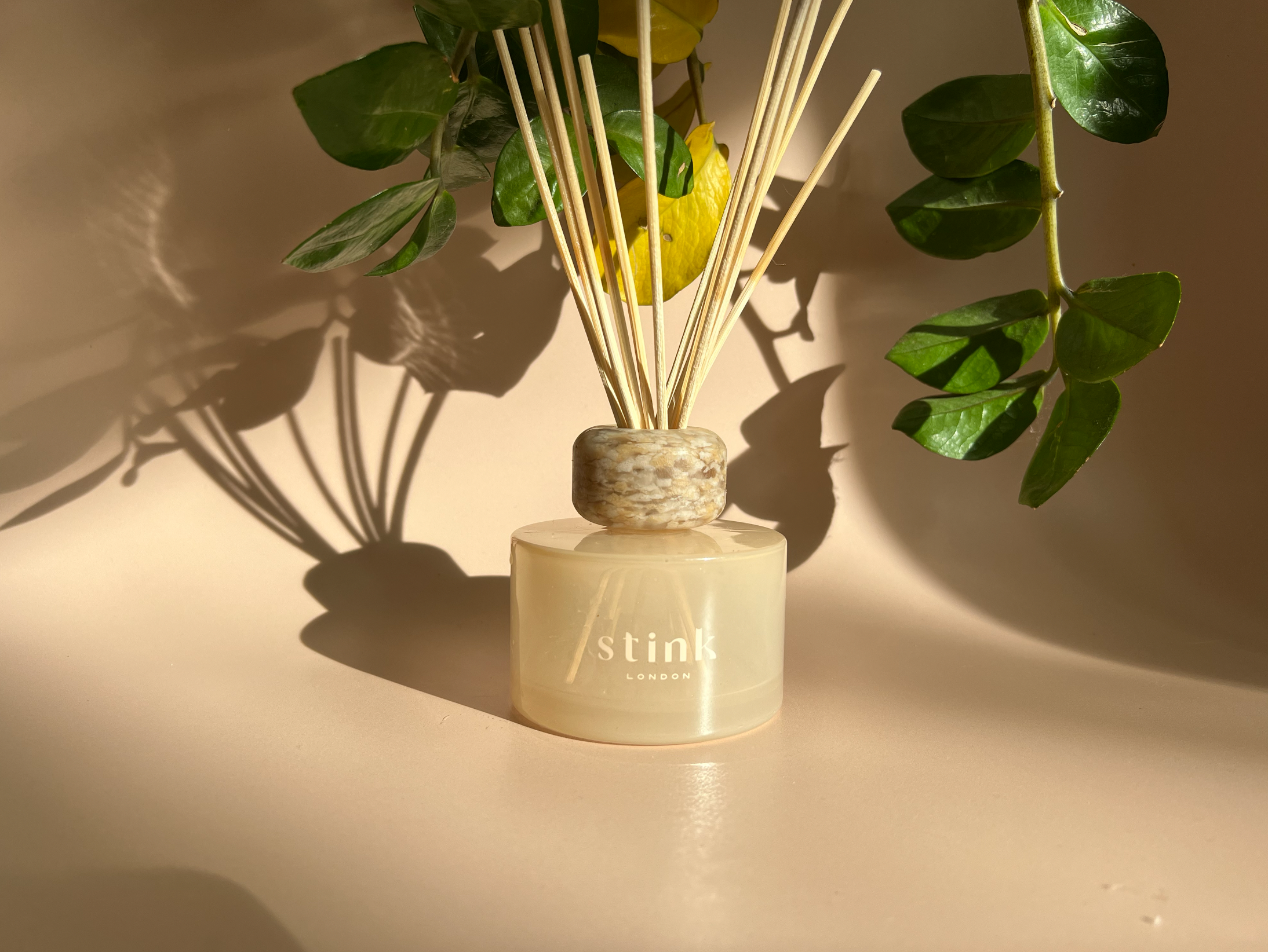 5 facts that prove Reed Diffusers are the best for home fragrance